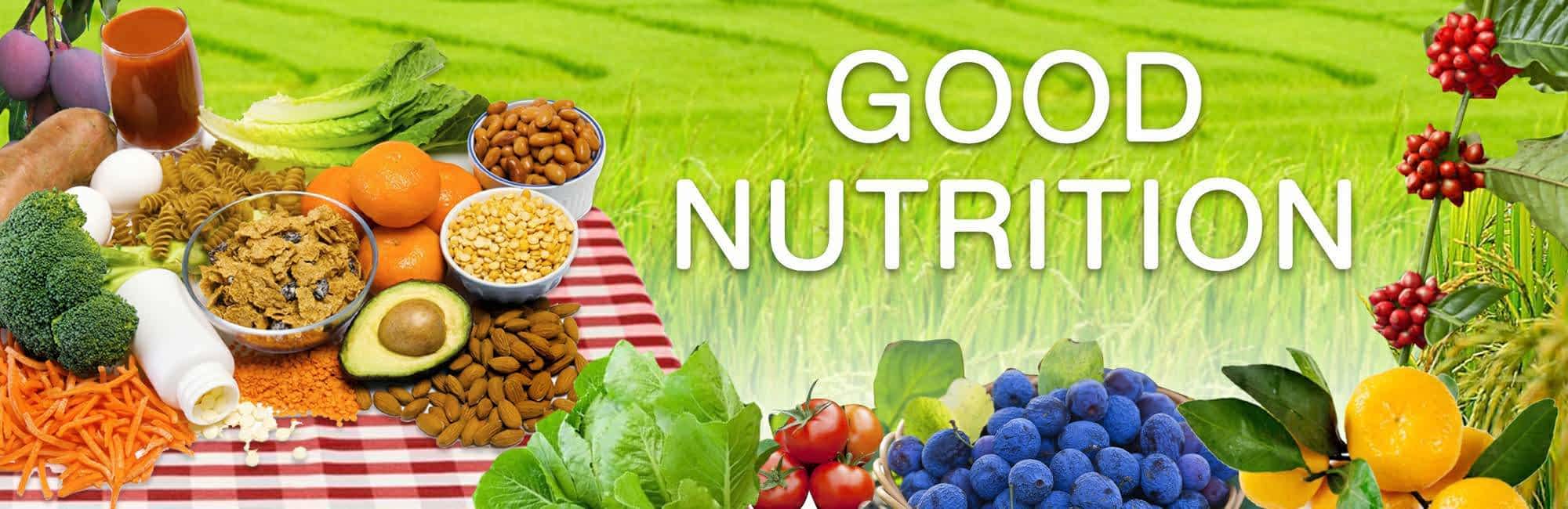 Good Nutrition Is One Of The Most important Parts Of A Healthy Life 