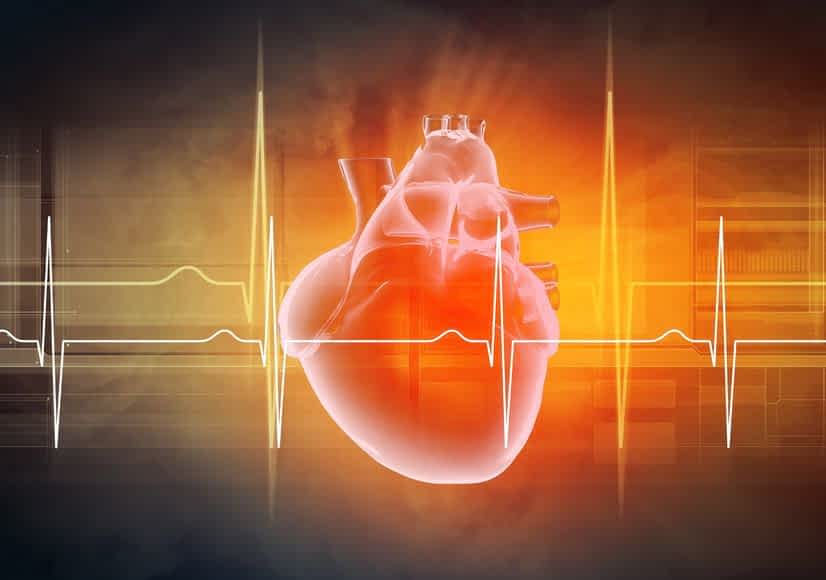 Heart&EKG